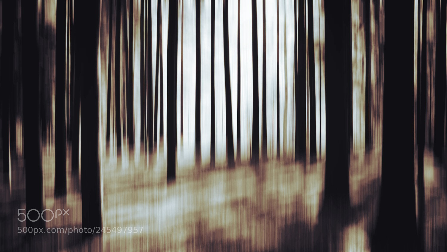 Canon EOS 1000D (EOS Digital Rebel XS / EOS Kiss F) sample photo. Abstract photography