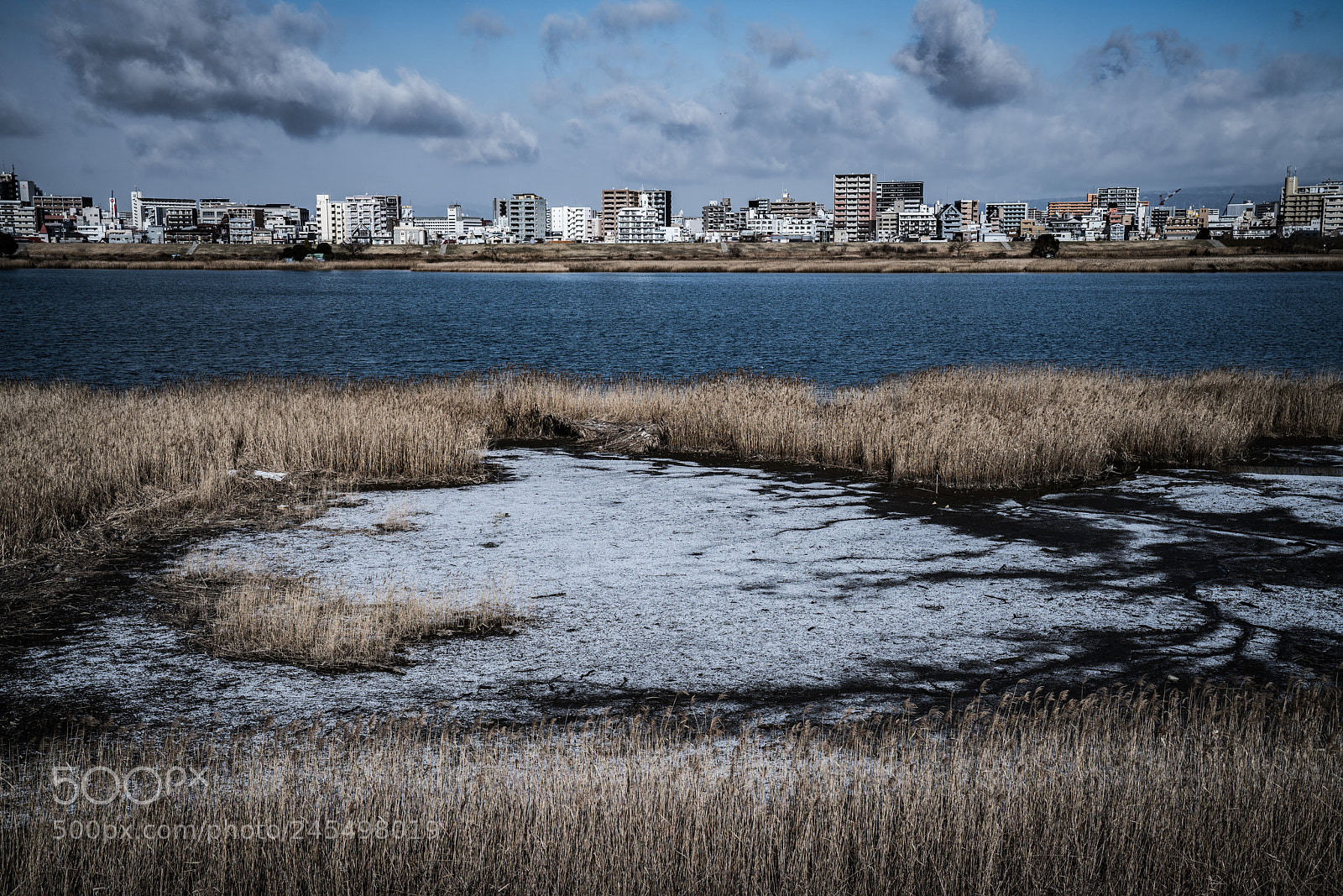 Sony a7R II sample photo. The frozen pond photography