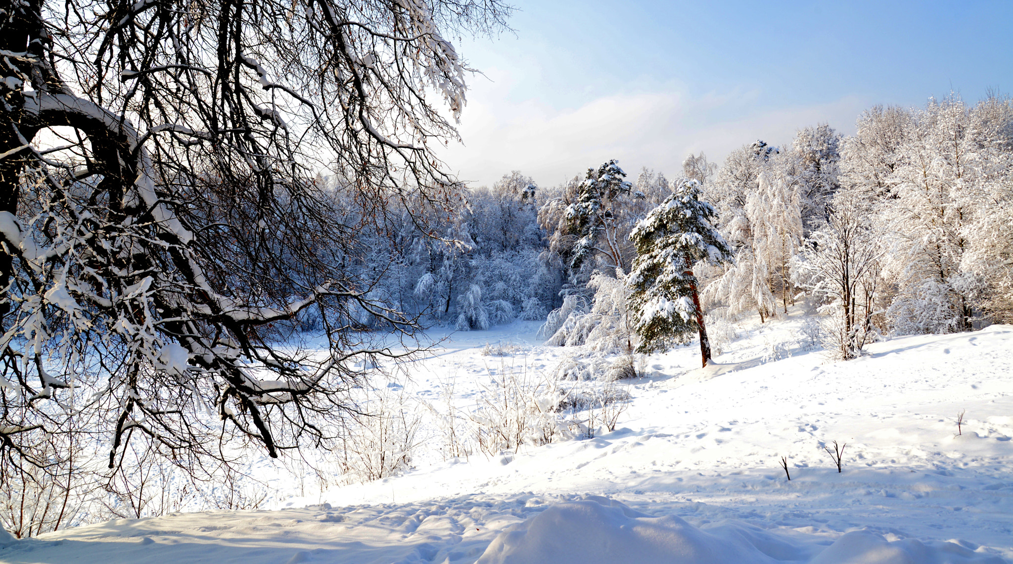 Nikon D610 sample photo. Russian winter. izmaylovo park -4/ photography