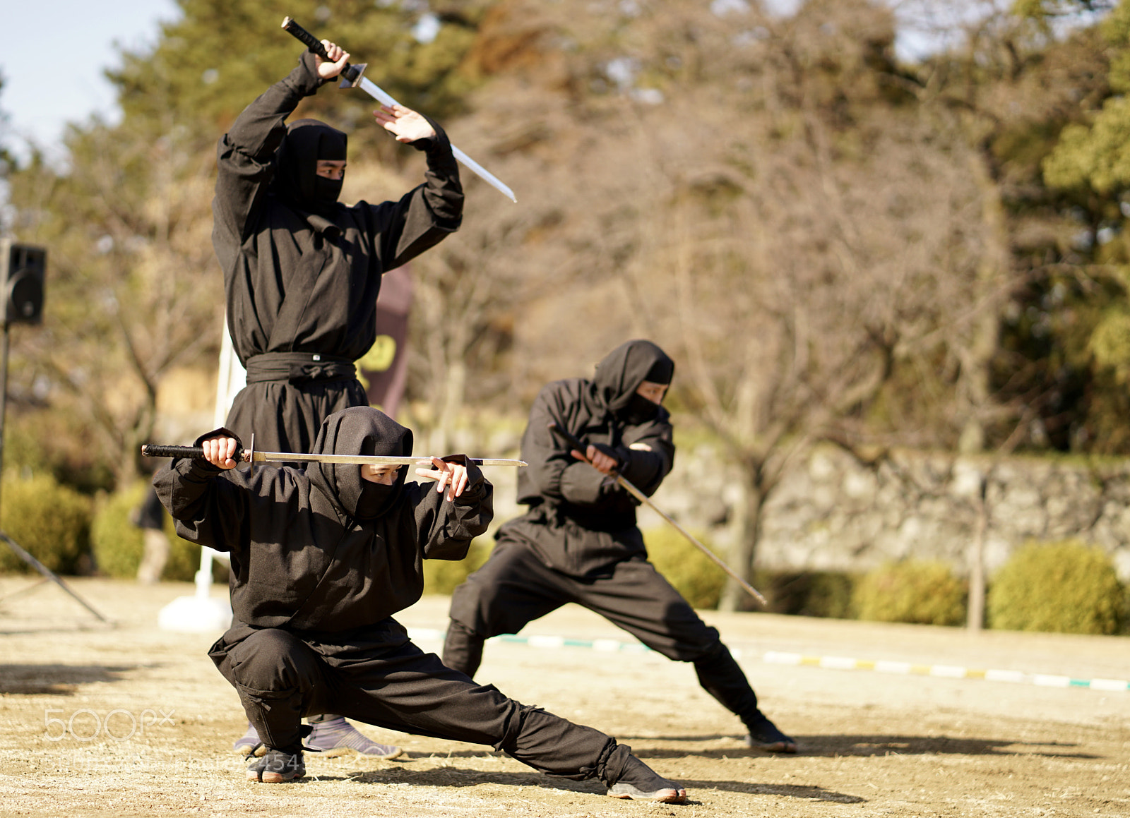 Sony a7R II sample photo. Ninja photography
