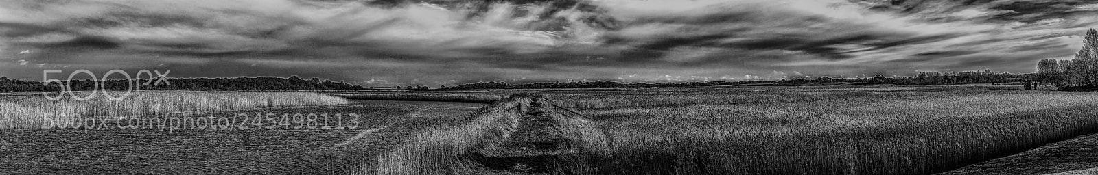 Nikon D90 sample photo. An open land photography