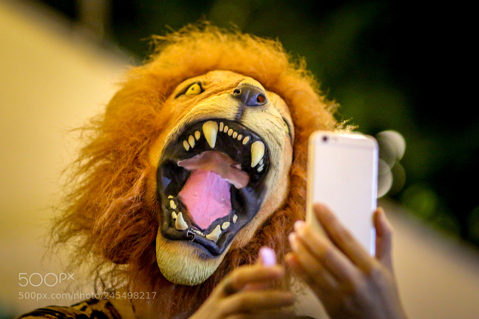 Canon EOS 700D (EOS Rebel T5i / EOS Kiss X7i) sample photo. Selfie lion photography