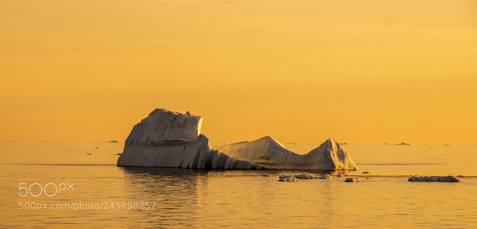 Sony SLT-A57 sample photo. Icebergs in greenland photography