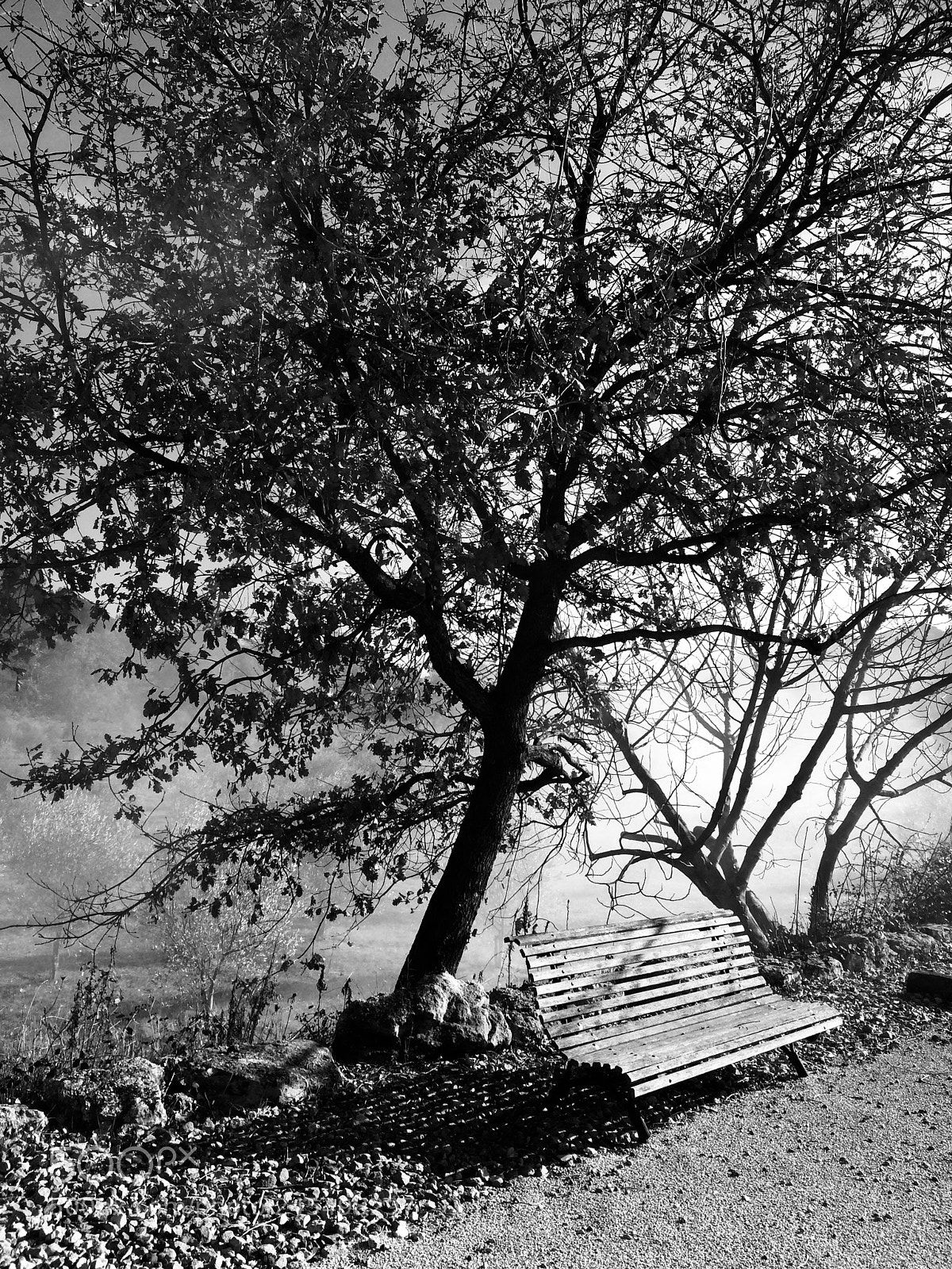 Apple iPhone 5s sample photo. Le banc photography