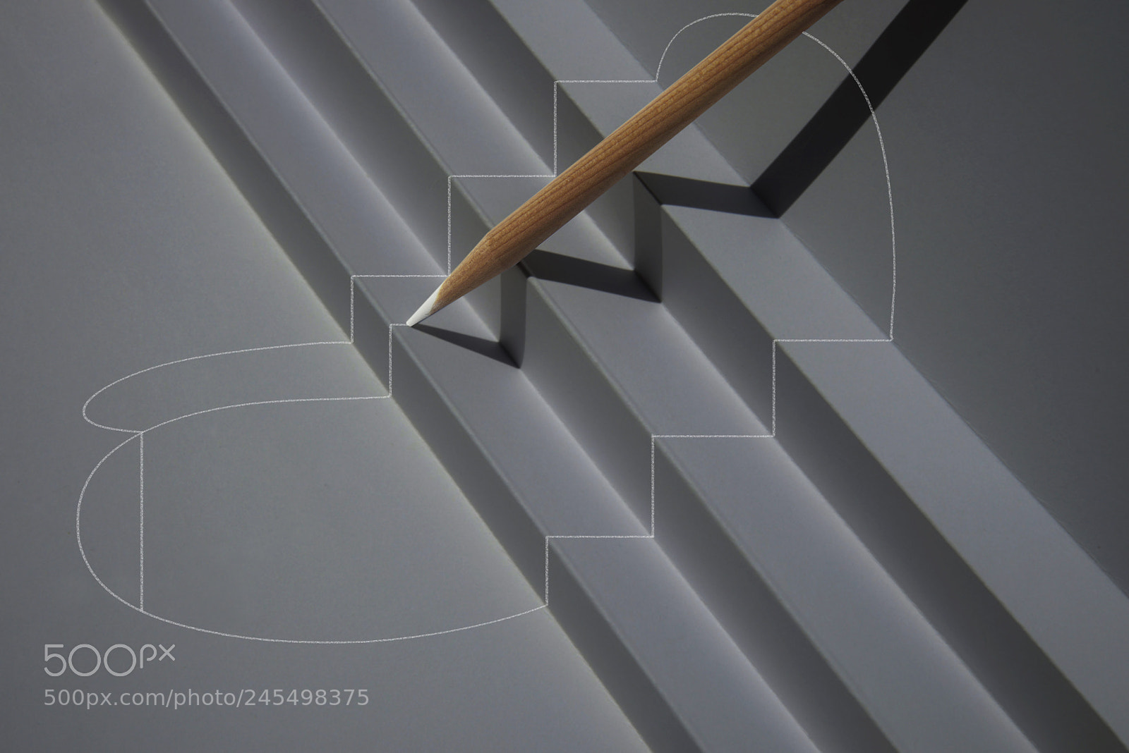 Nikon D810 sample photo. Up and up and photography