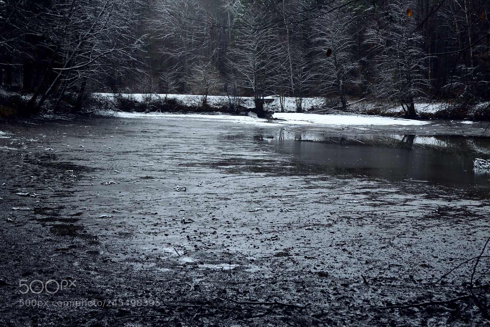 Nikon D7500 sample photo. At the dark lakeside photography