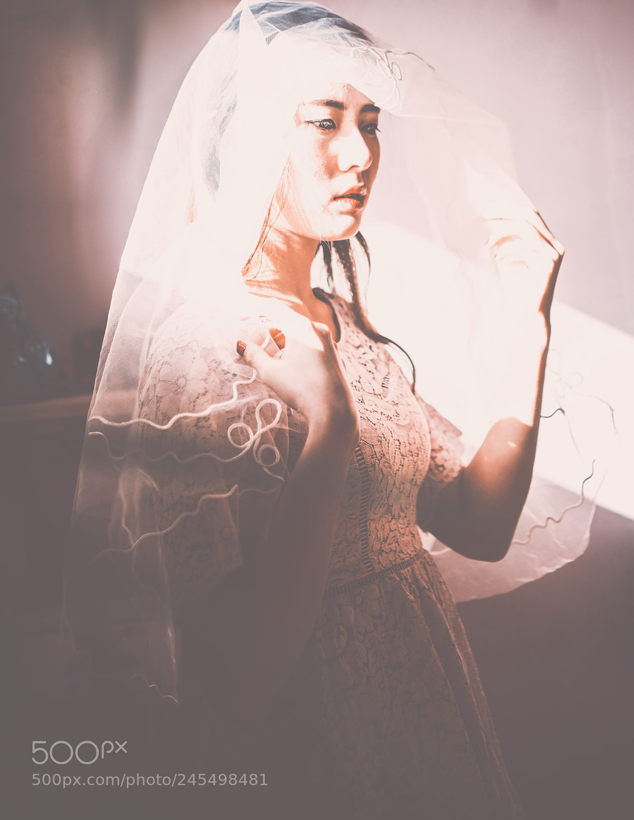 Nikon D850 sample photo. Untitled photography