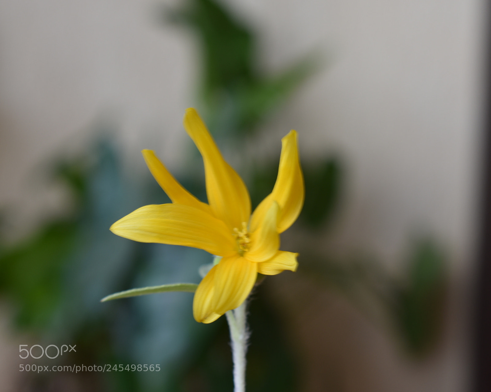 Nikon D3400 sample photo. Untitled photography
