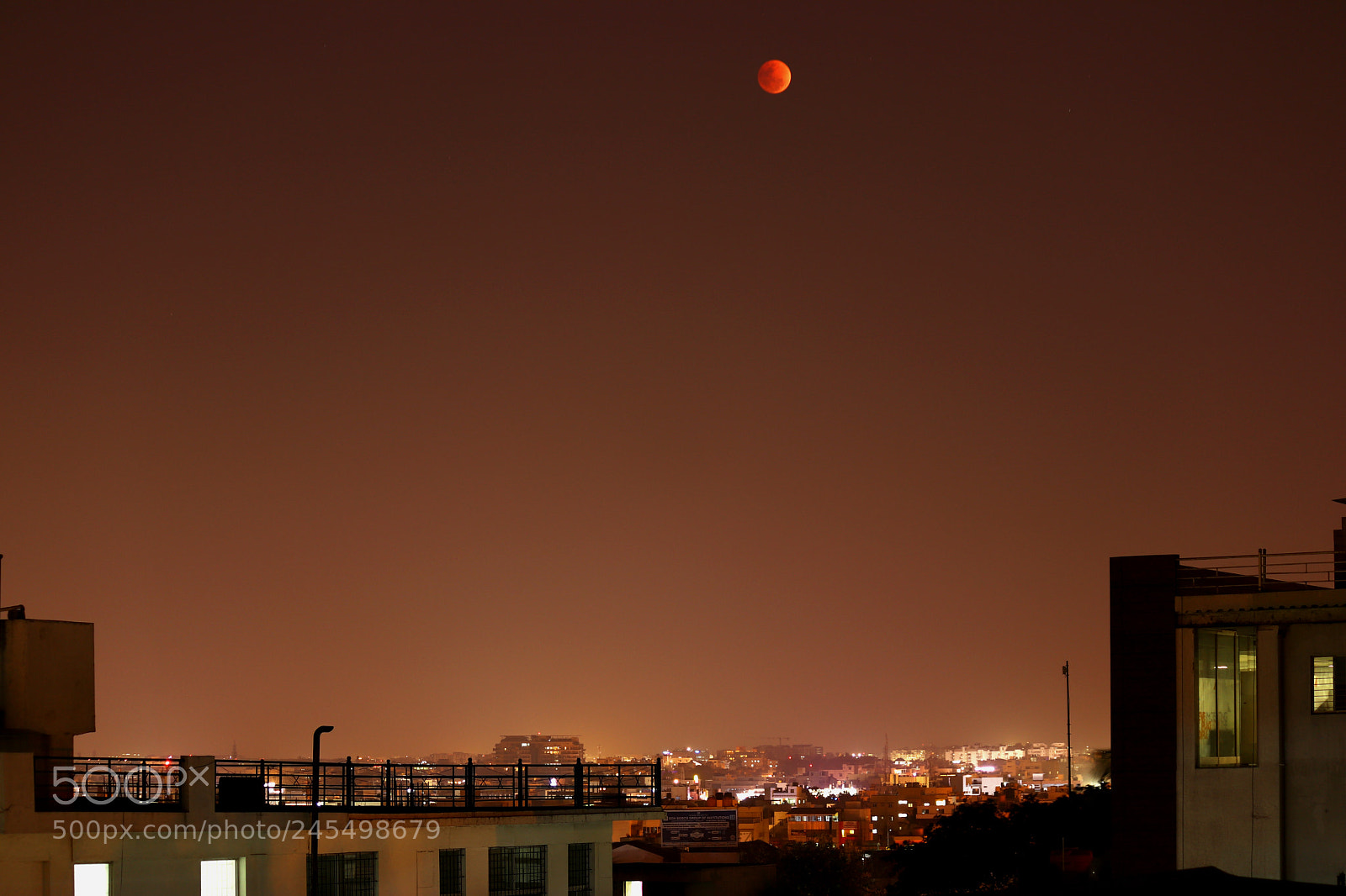 Canon EOS 77D (EOS 9000D / EOS 770D) sample photo. Blue blood super moon photography