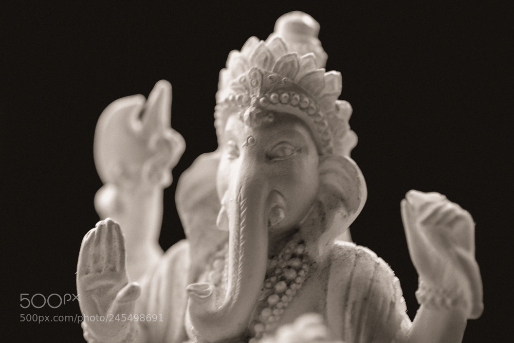 Nikon D5600 sample photo. Macro ganesha photography