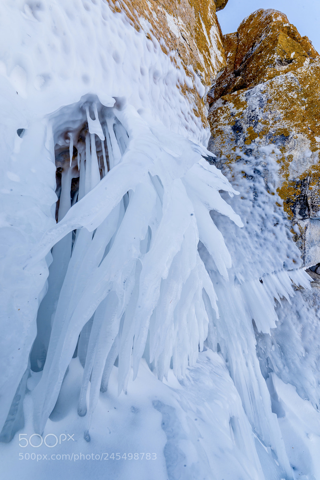 Nikon D610 sample photo. Ice beard photography