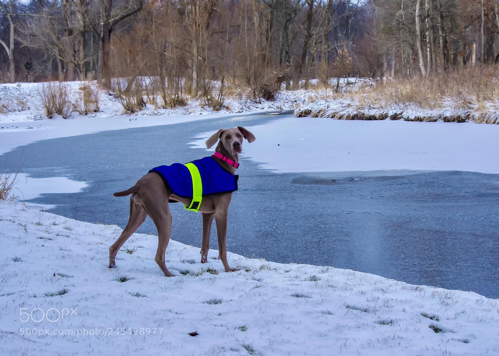 Pentax K-x sample photo. Gianna on the banks photography