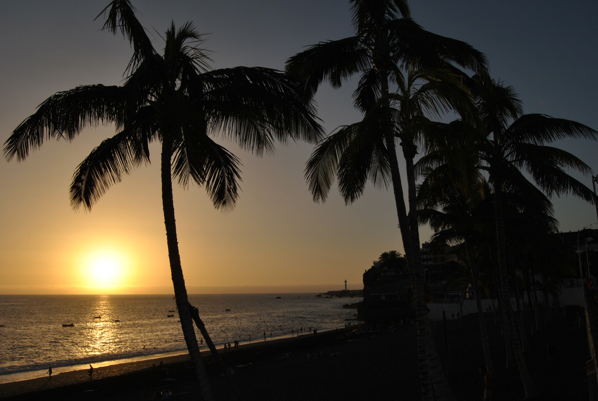 Nikon D3000 sample photo. Imagem photography