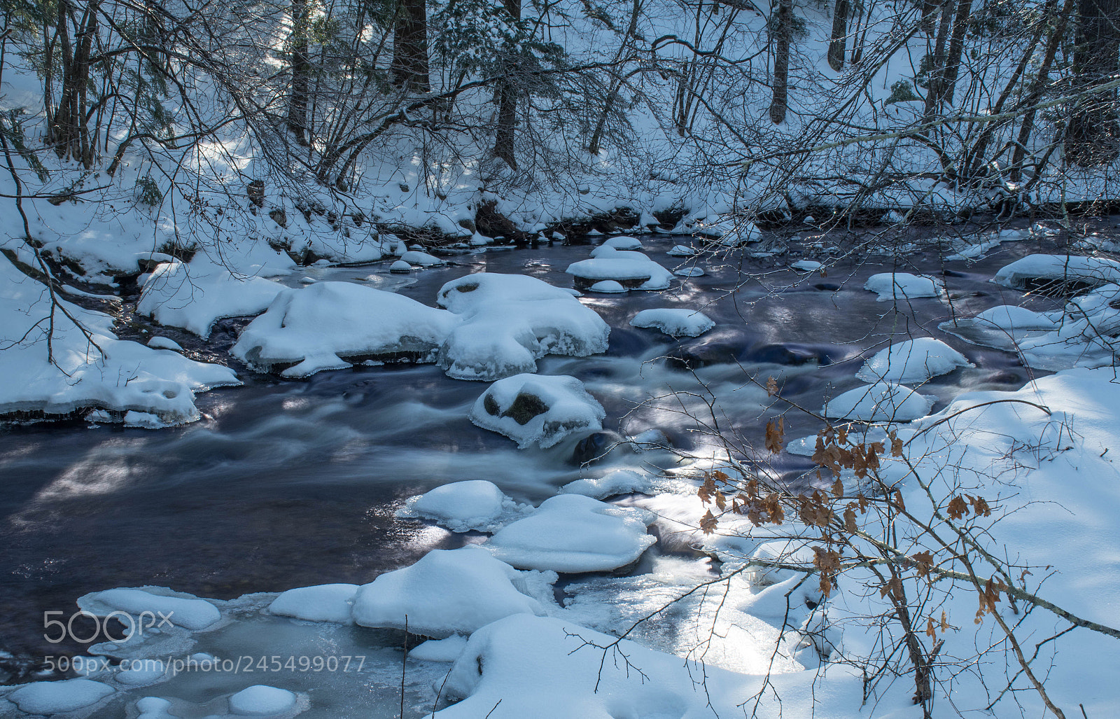 Nikon D7500 sample photo. Willard brook 5 photography