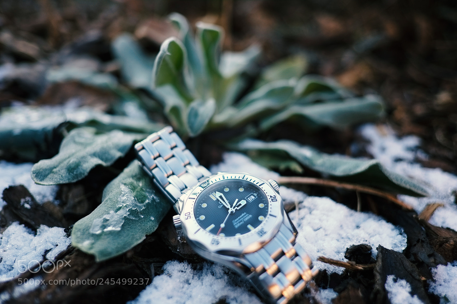 Fujifilm X-Pro1 sample photo. Omega photography