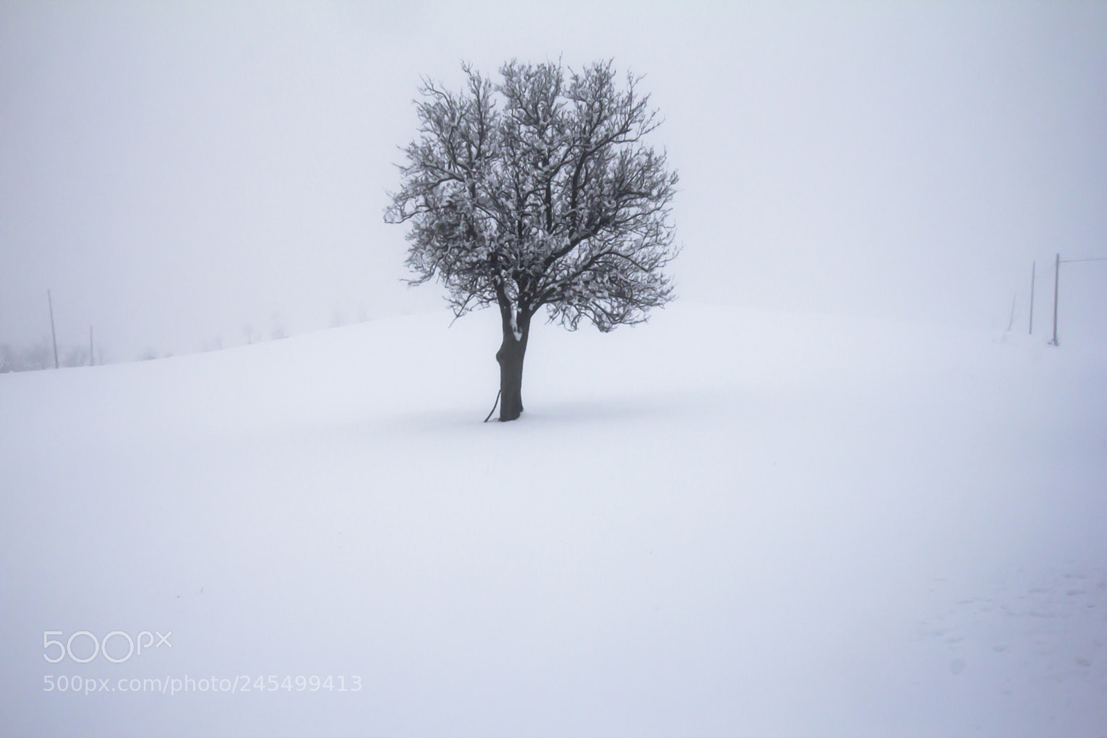 Canon EOS 60D sample photo. Appenino reggiano, baiso, italia photography