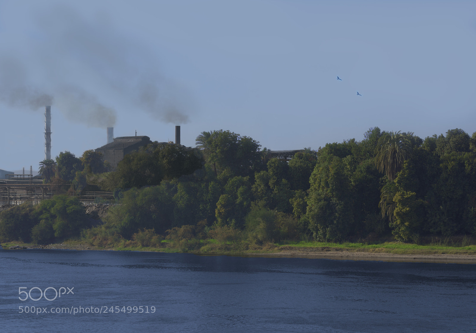 Nikon D7200 sample photo. River&shore photography