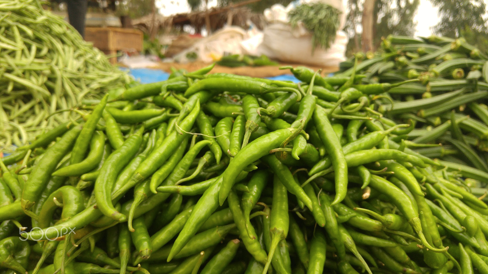 LG H818N sample photo. Green chilies photography