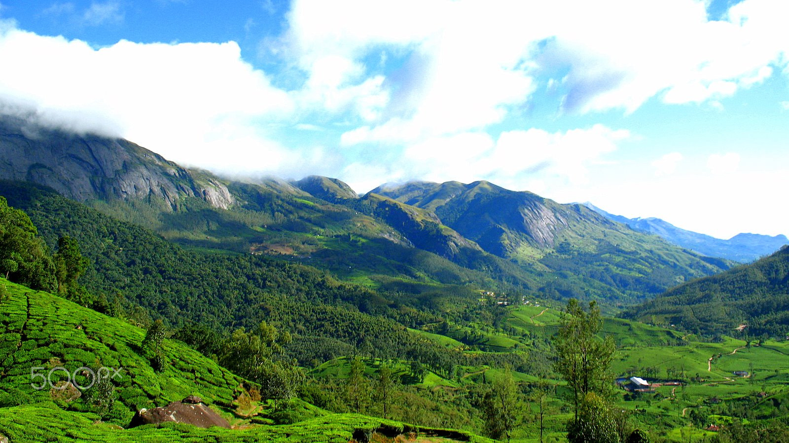 Canon POWERSHOT A640 sample photo. Munnar photography