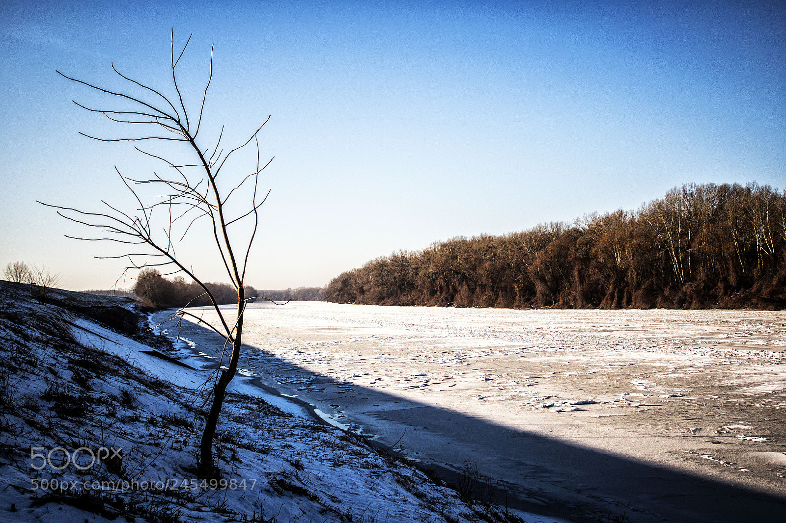 Canon EOS 1300D (EOS Rebel T6 / EOS Kiss X80) sample photo. Tisza river, szeged, hungary photography
