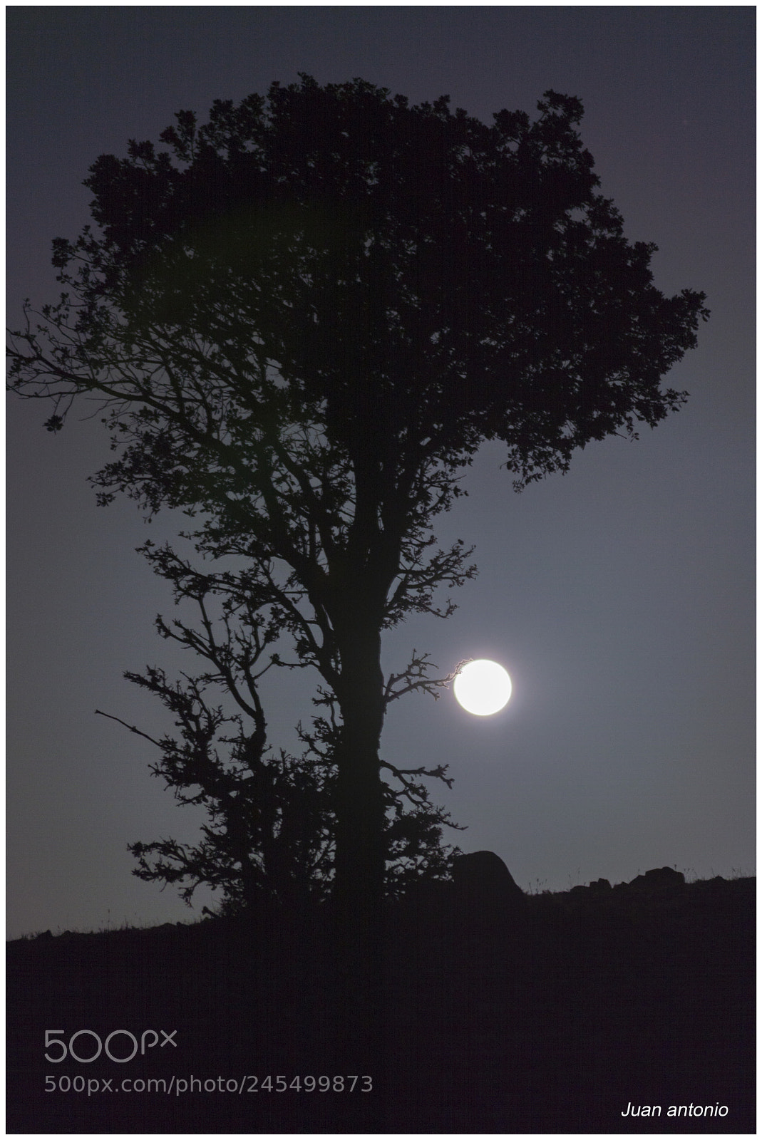 Nikon D3200 sample photo. Intentando coger la luna. photography