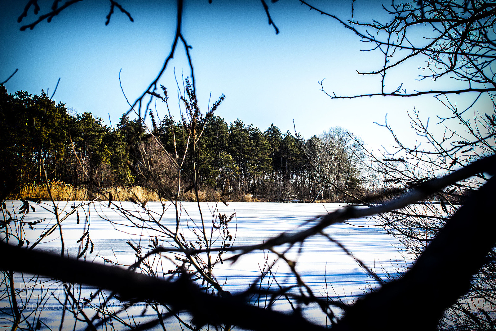 Canon EOS 1300D (EOS Rebel T6 / EOS Kiss X80) sample photo. Frozen lake near szeged photography
