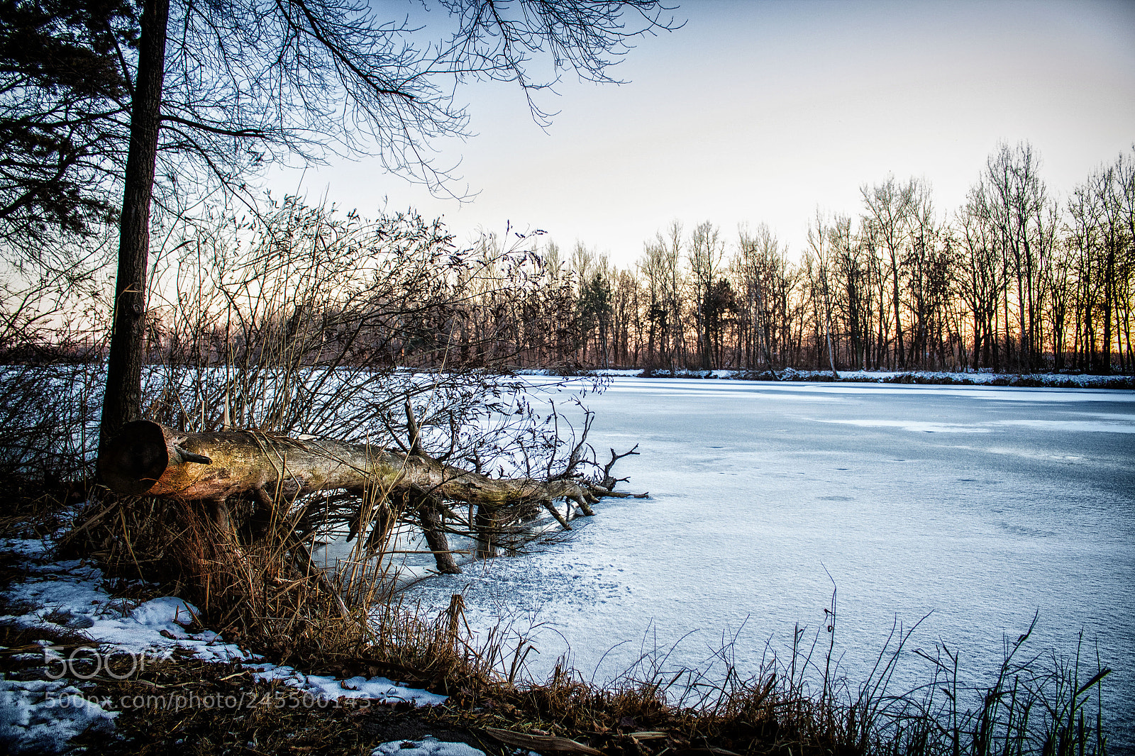 Canon EOS 1300D (EOS Rebel T6 / EOS Kiss X80) sample photo. Frozen lake near szeged photography