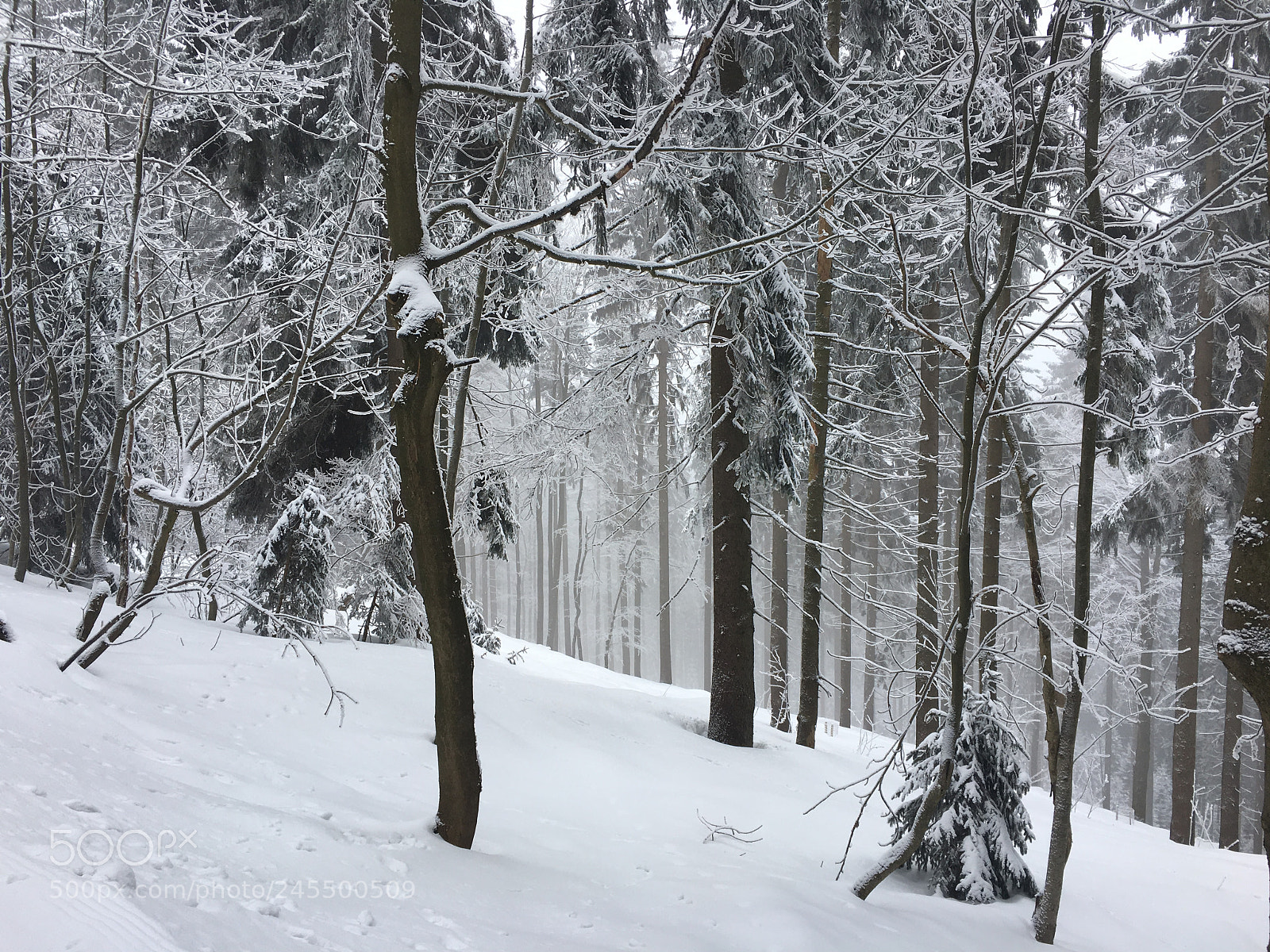 Apple iPhone 6s sample photo. Snowy ways photography