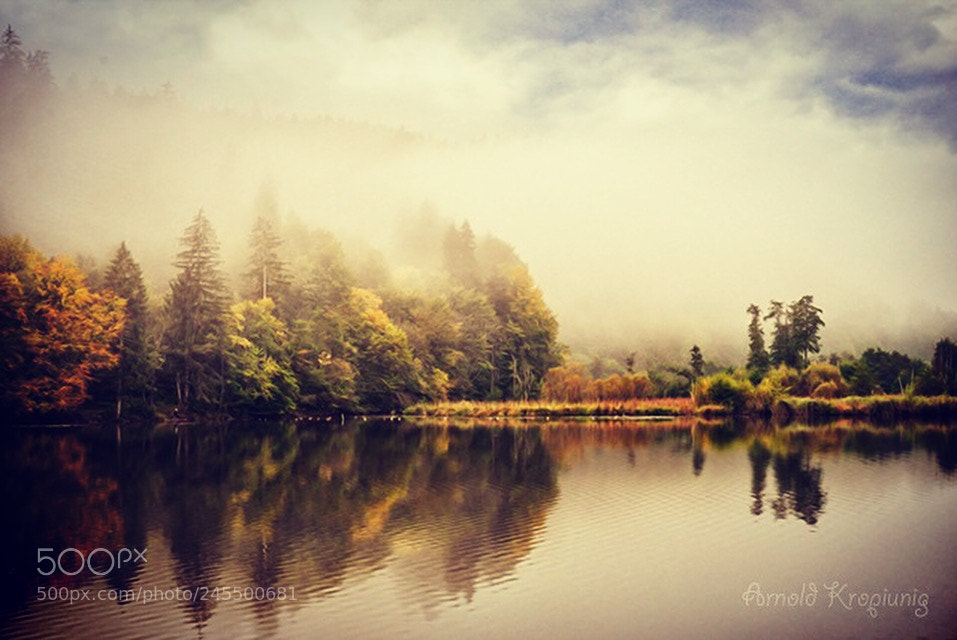 Nikon D600 sample photo. Nebel und spiegelung am photography