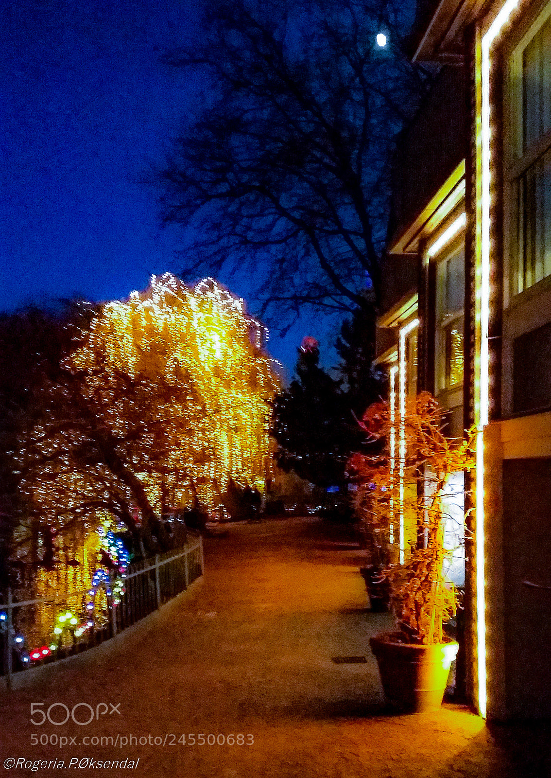 Samsung Galaxy S5 sample photo. 404.jpg photography