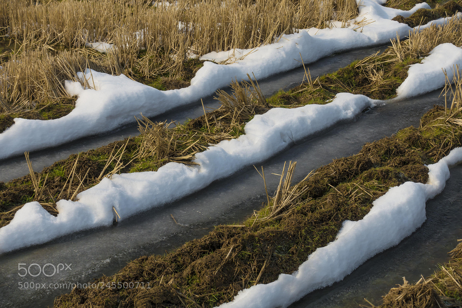 Sony Cyber-shot DSC-RX100 III sample photo. Melting snow.jpg photography