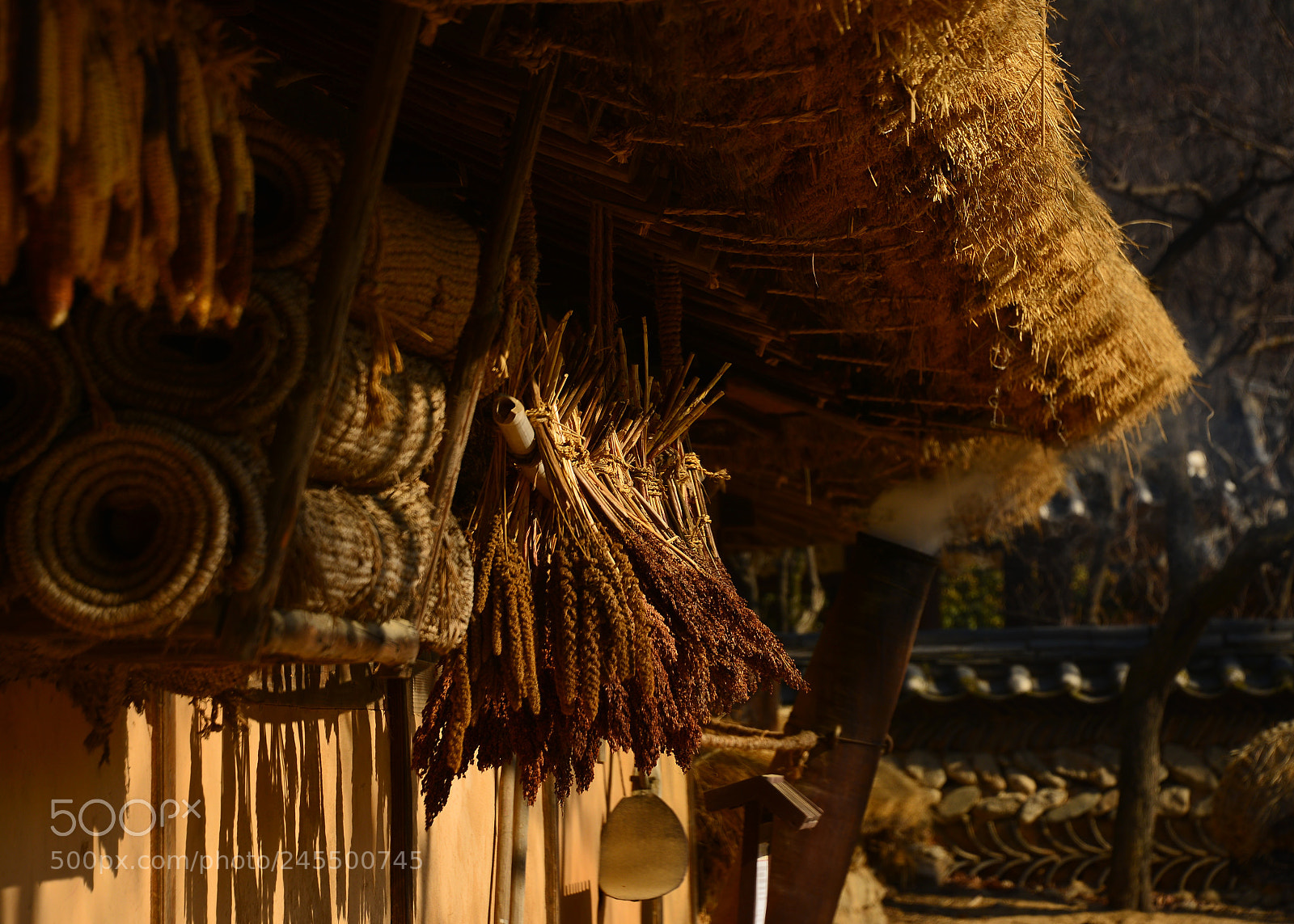 Nikon D610 sample photo. Untitled photography