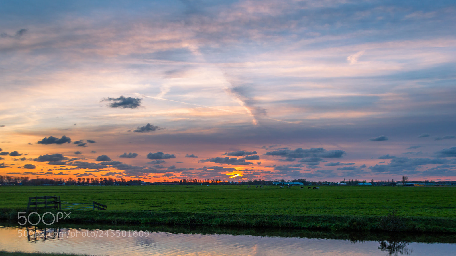 Nikon D3200 sample photo. Dutch meadow at sunset. photography