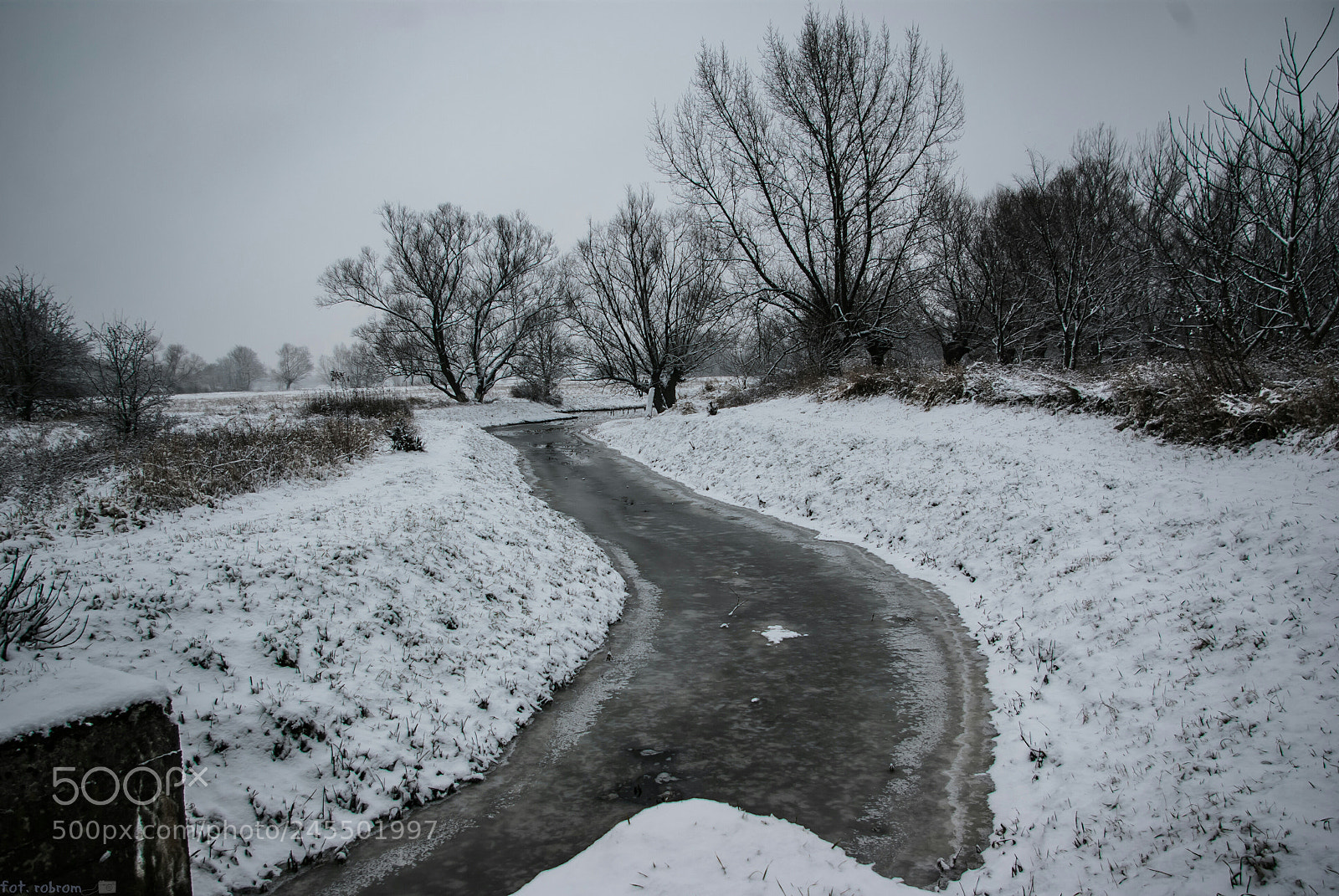 Pentax K10D sample photo. Winter photography