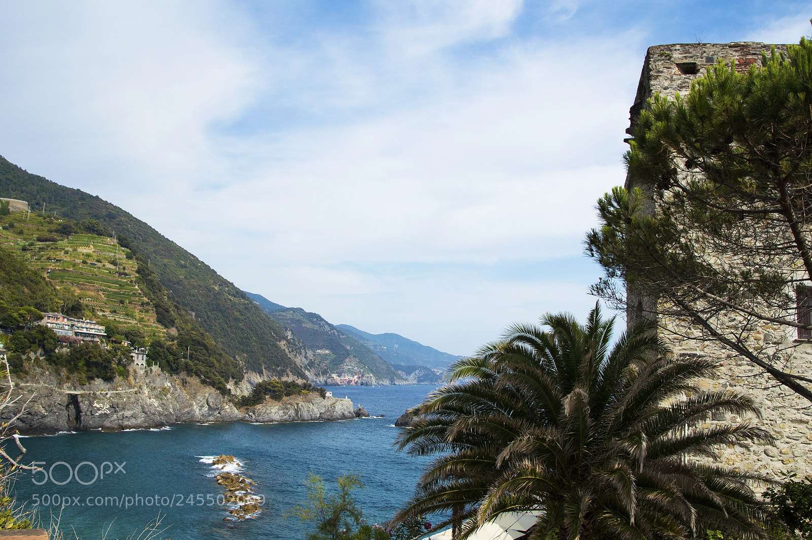 Nikon D3200 sample photo. The view photography