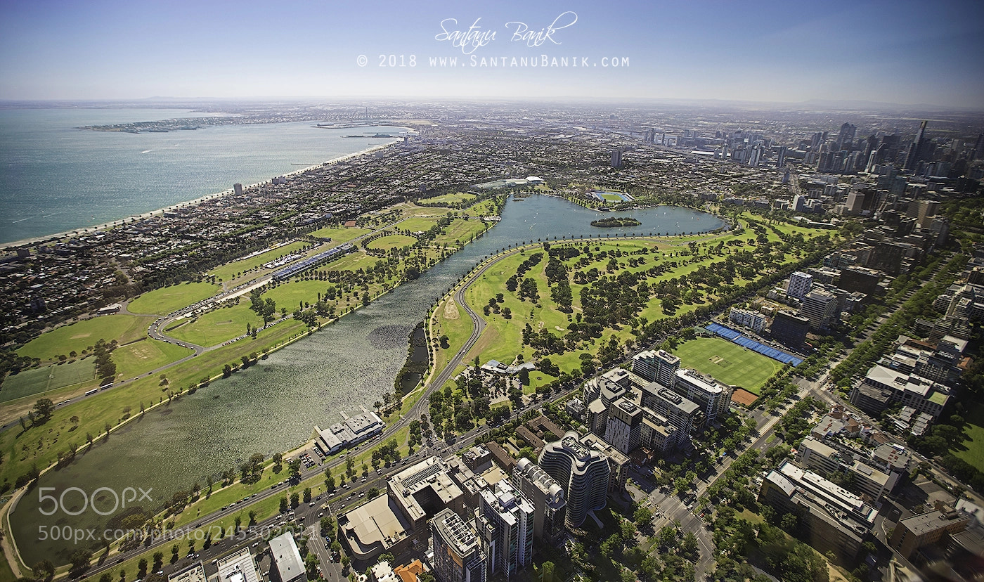 Canon EOS-1D X sample photo. Albert park aerial view photography