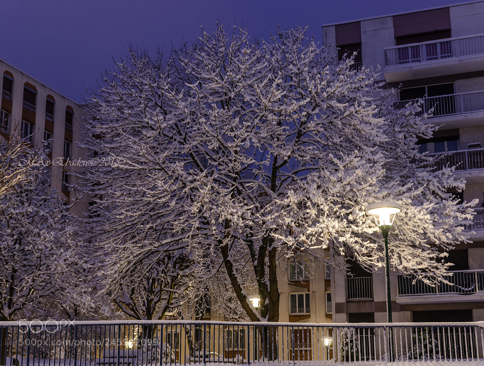 Nikon D600 sample photo. Au millepertuis photography
