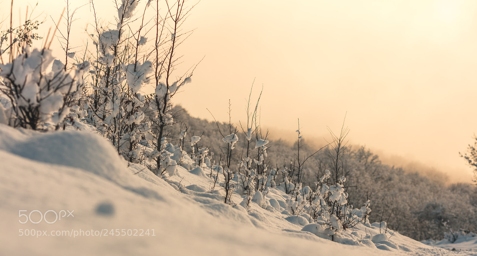 Canon EOS 5DS R sample photo. Sun go home photography