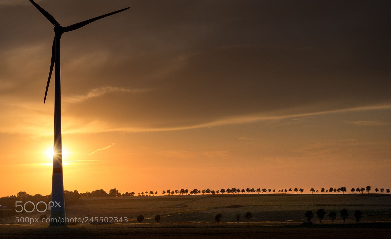 Samsung NX300 sample photo. Wind fetcher photography
