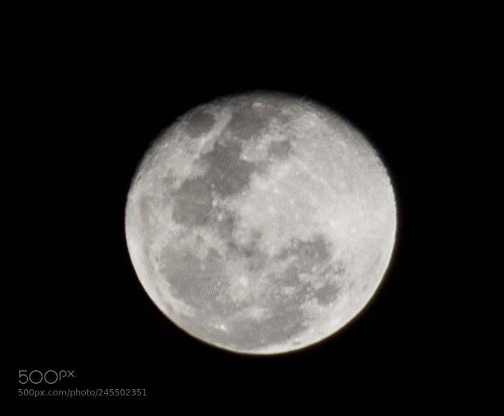 Nikon D5100 sample photo. Untitled photography