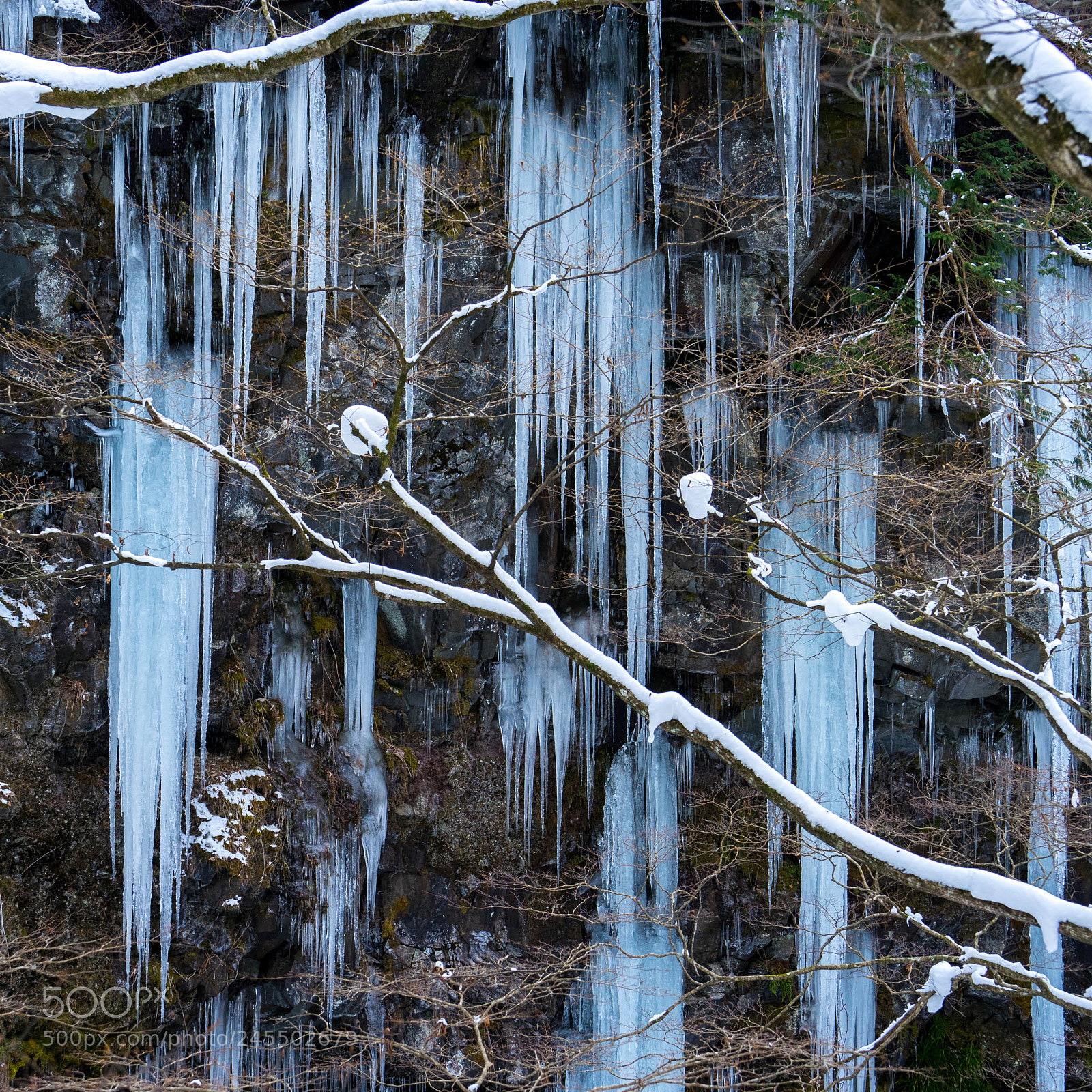 Sony a7 II sample photo. Icicle photography