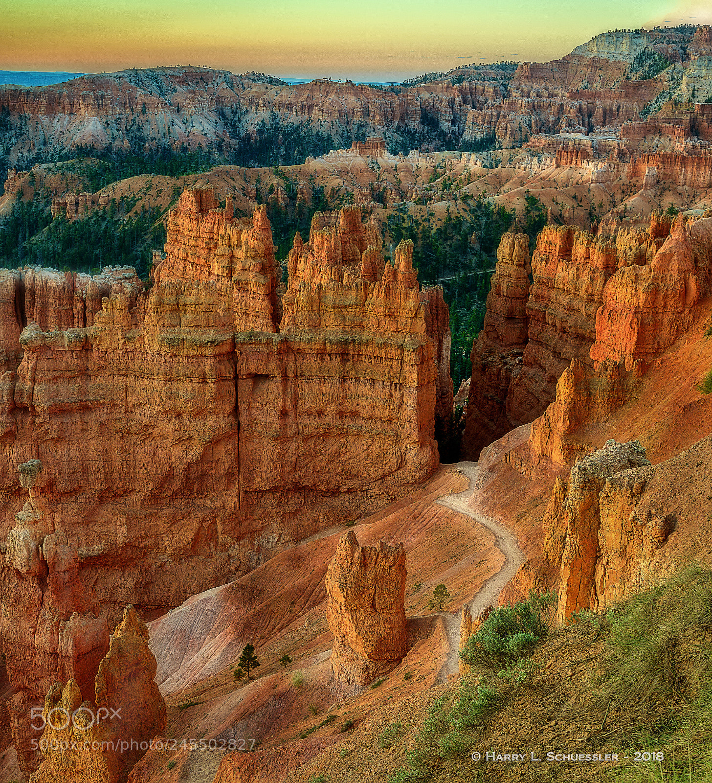Nikon D800E sample photo. Cold sunrise in bryce photography