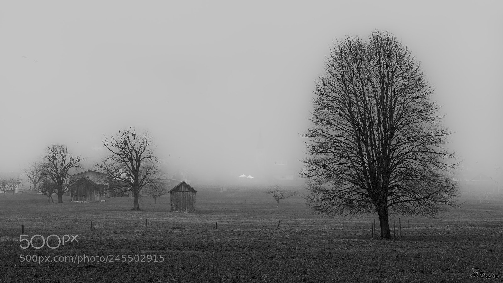Nikon D800E sample photo. Foggy fields photography