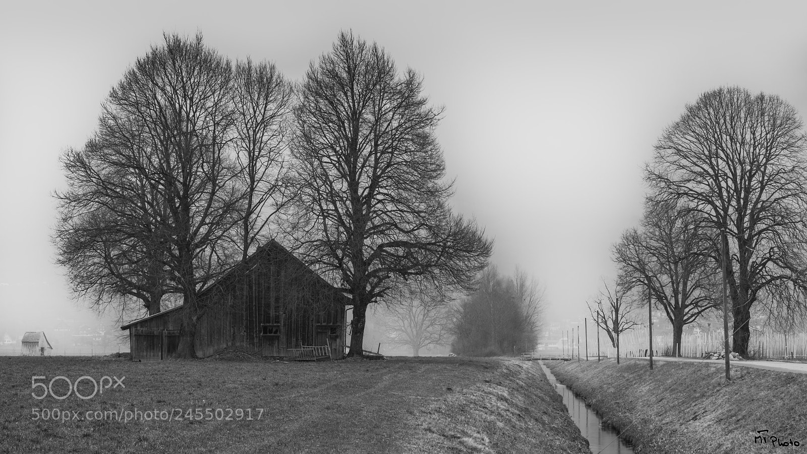 Nikon D800E sample photo. Barn and trees photography