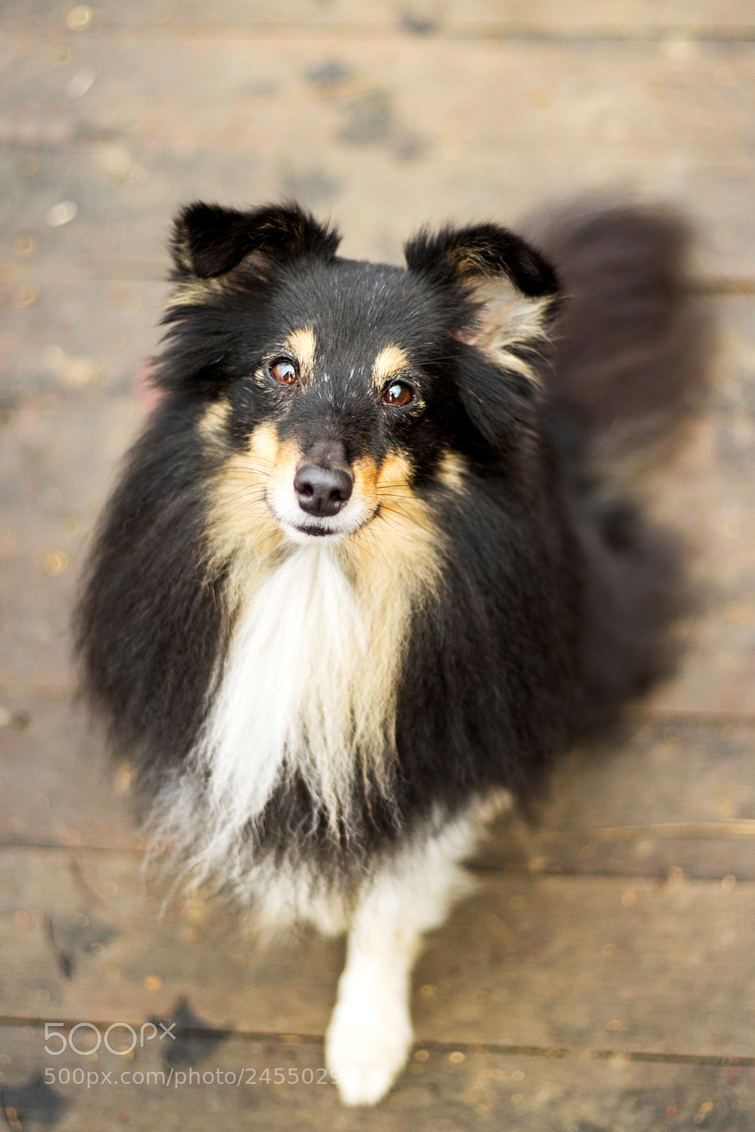 Canon EOS 7D Mark II sample photo. Can i have this photography