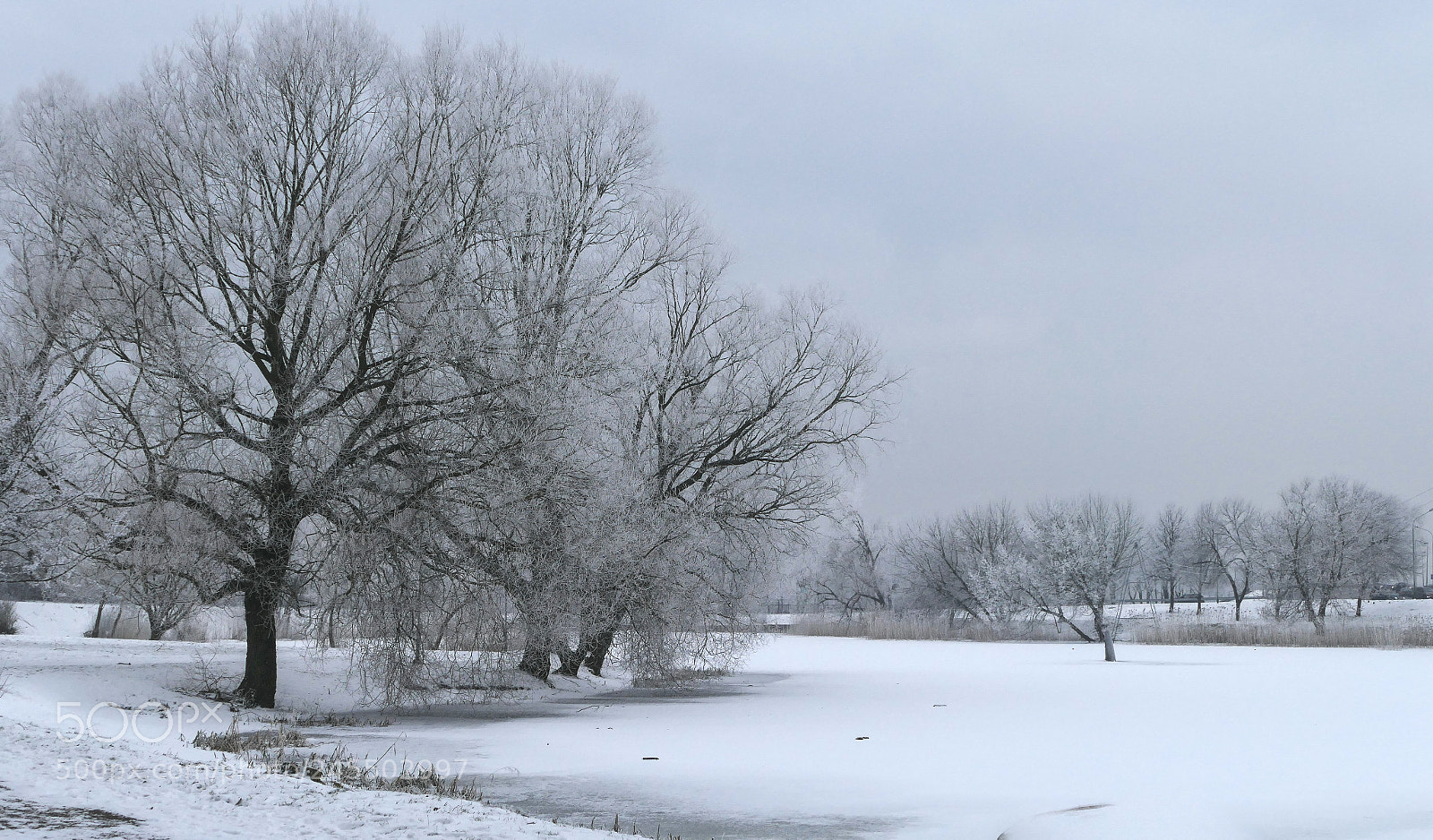Panasonic Lumix DMC-FZ1000 sample photo. Winter on the lake photography