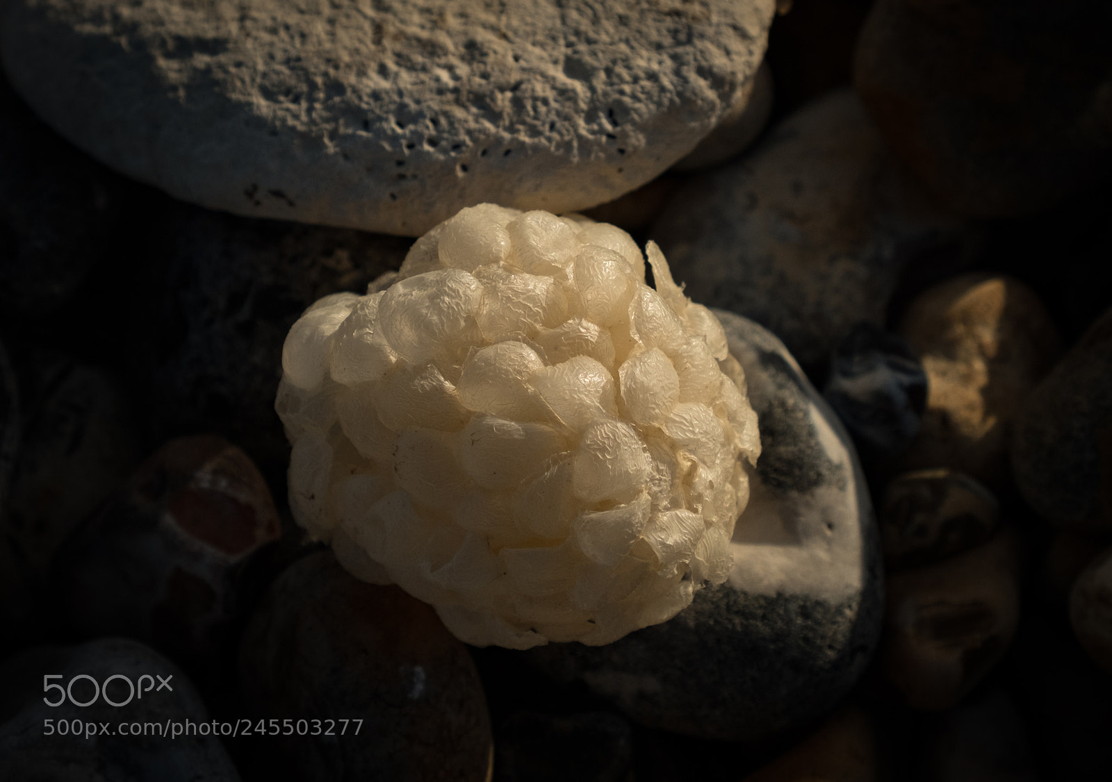 Fujifilm X-T2 sample photo. Down at the beach photography