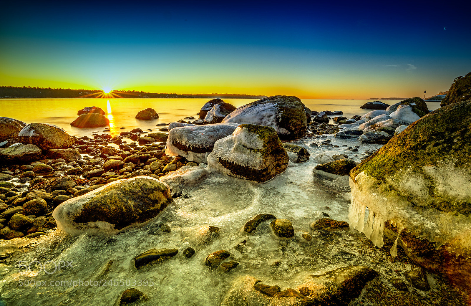 Nikon D850 sample photo. Sweden,nynäshamn photography