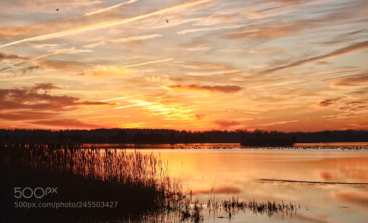 Canon EOS 40D sample photo. Sunset at prime hook photography