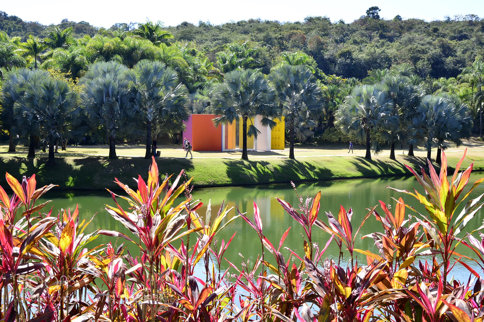Nikon D5200 sample photo. Inhotim helio oiticica photography